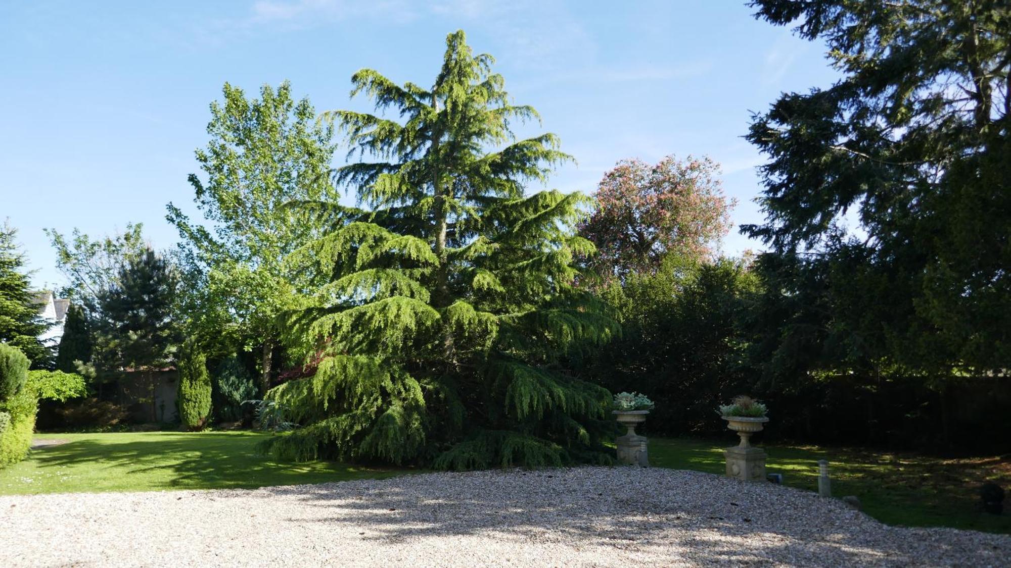 Отель Kerrington House Аксминстер Экстерьер фото
